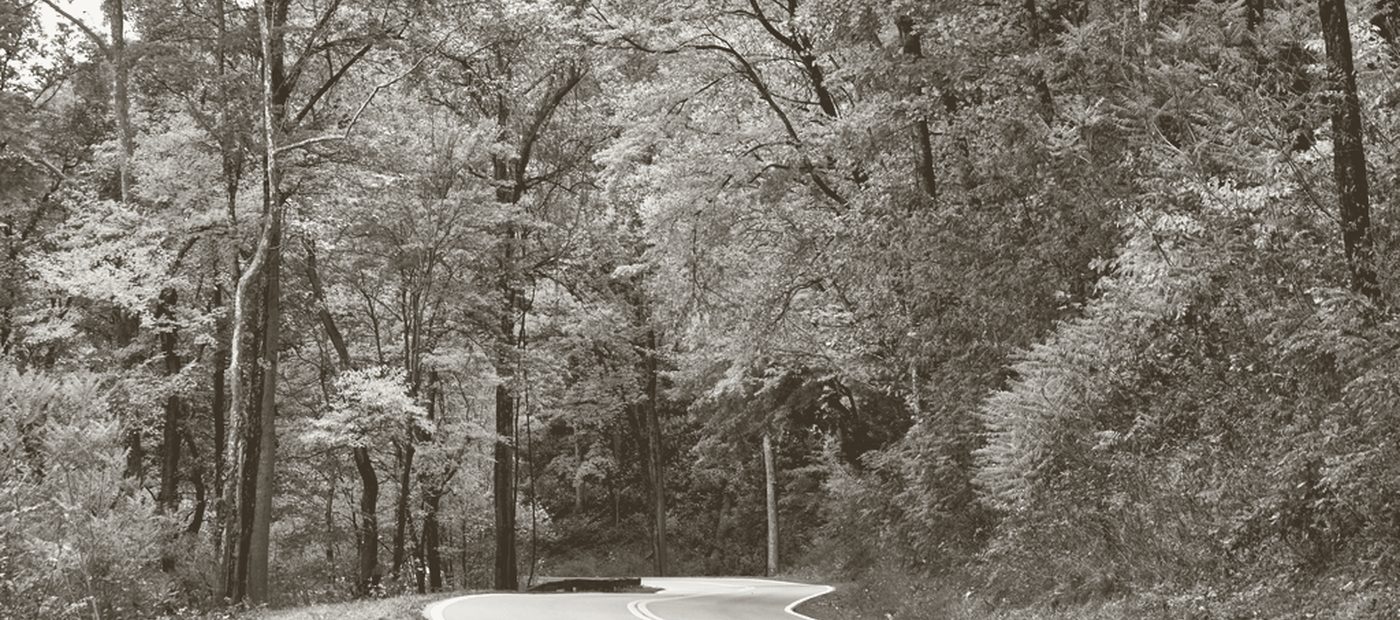 A road curving away through wooded hills in the Tennessee mountains